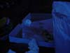 incognito_0701_10